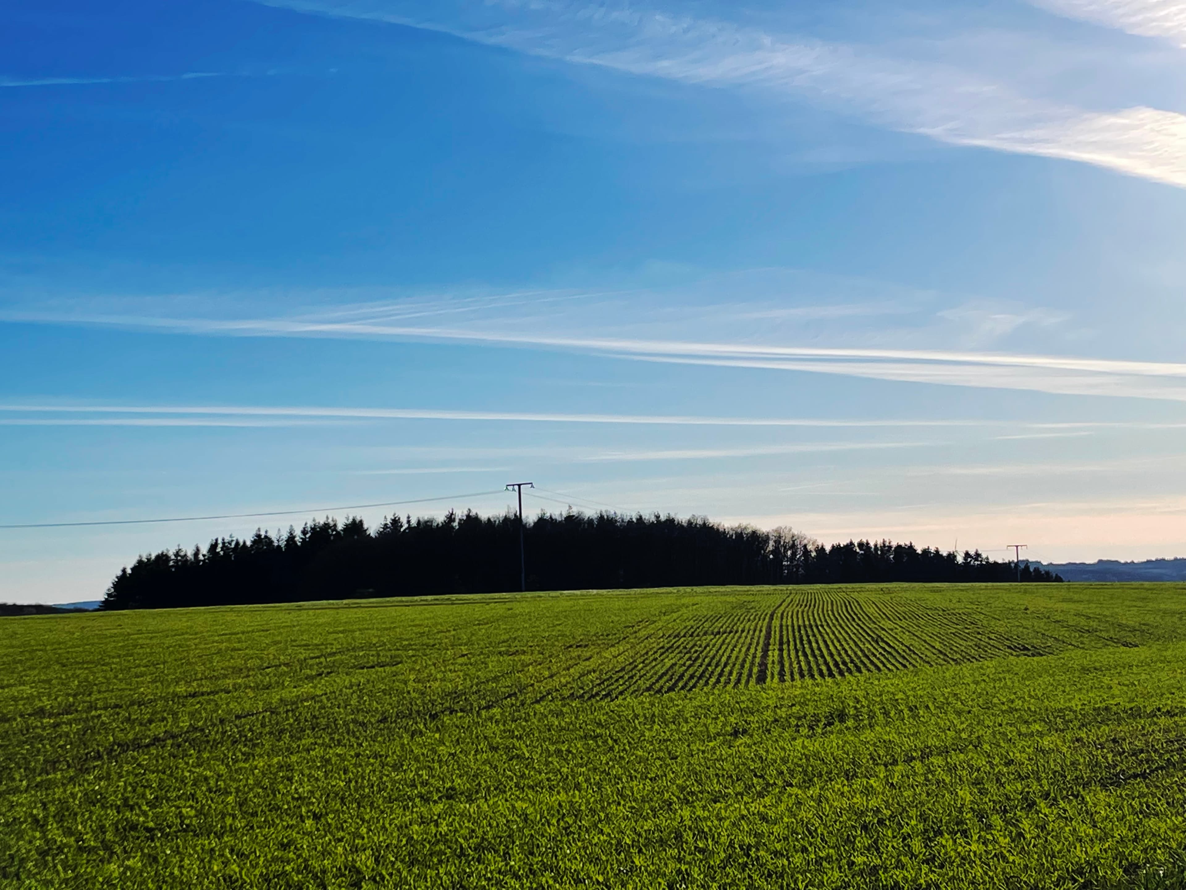 Green fields in luxembourg country side.