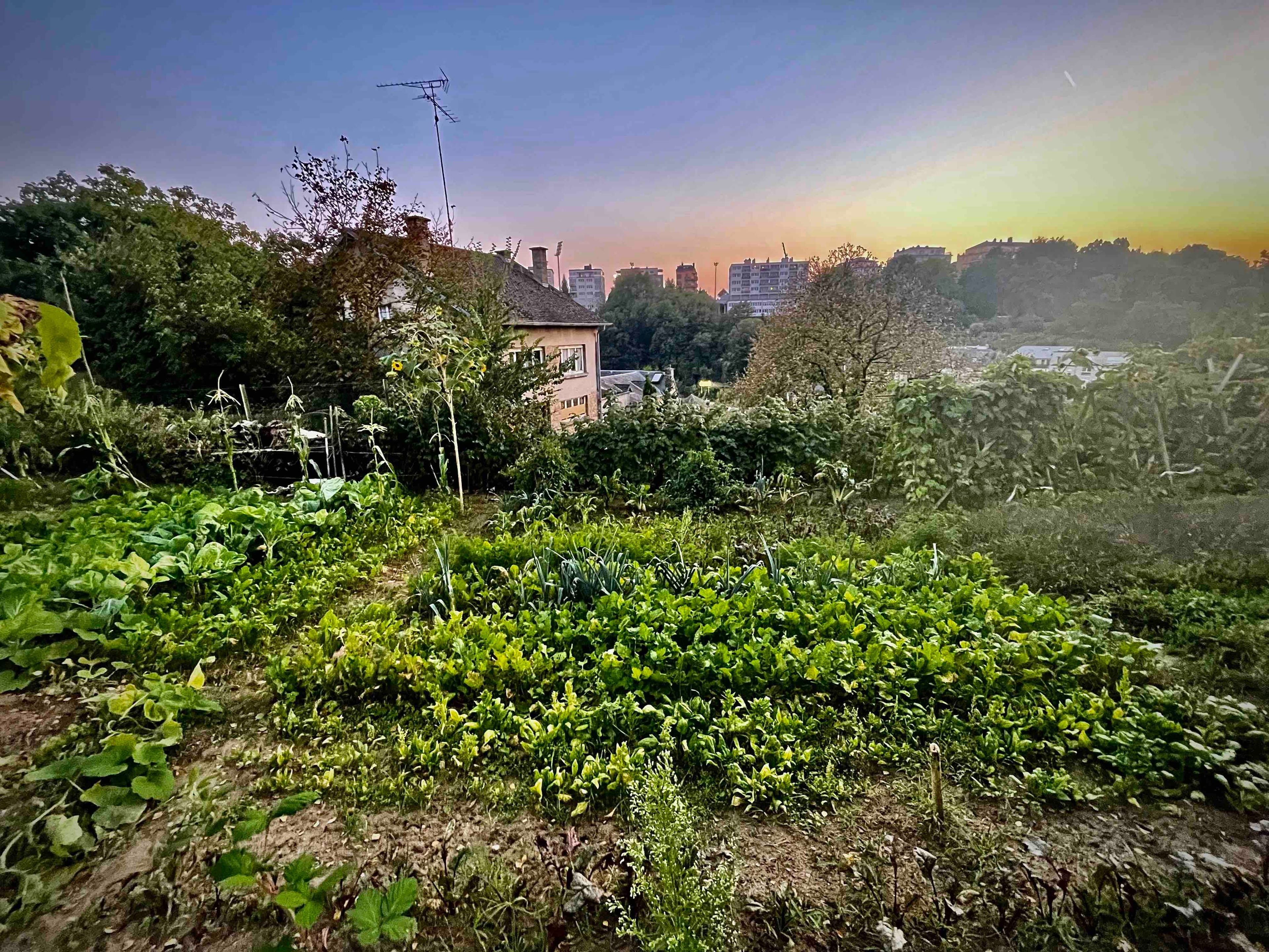 Allotment, in Luxembourg.