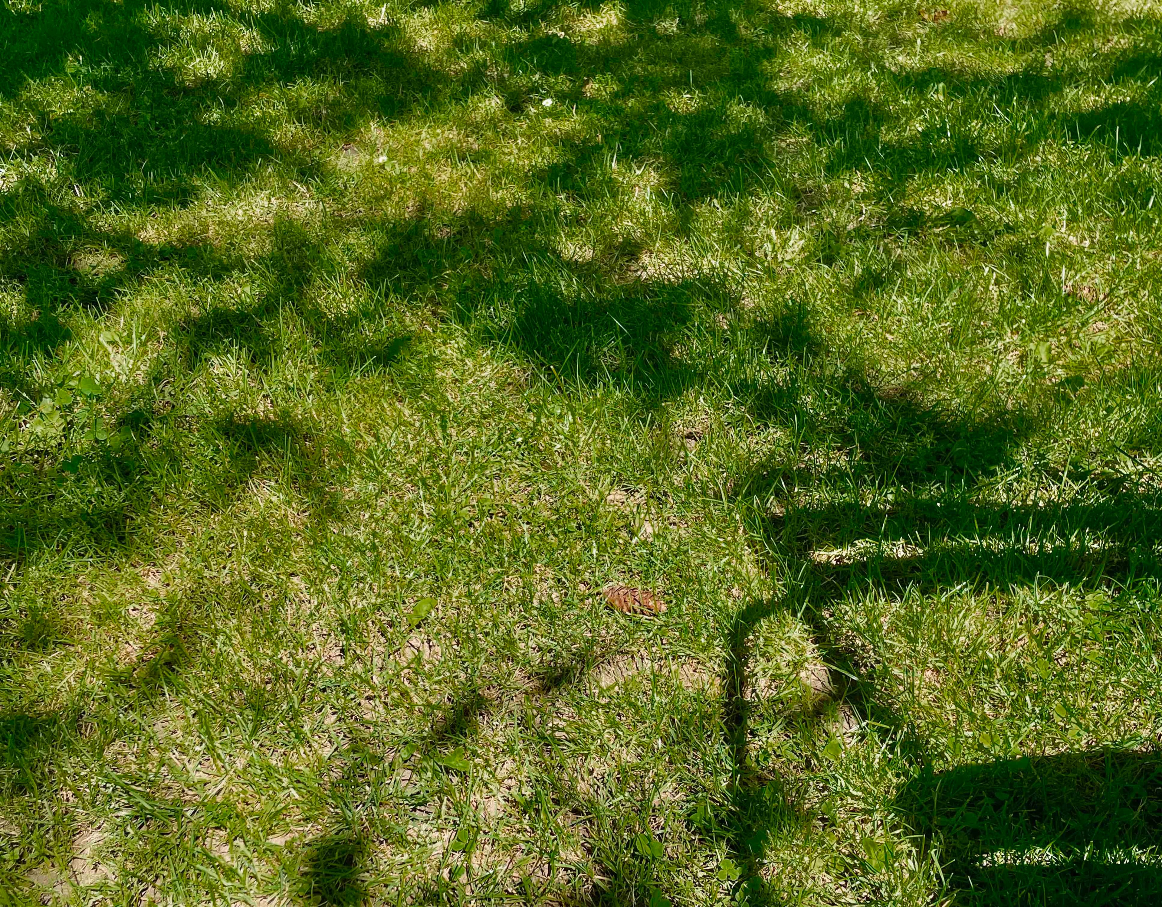 Chair shadow on grass, in Luxembourg.