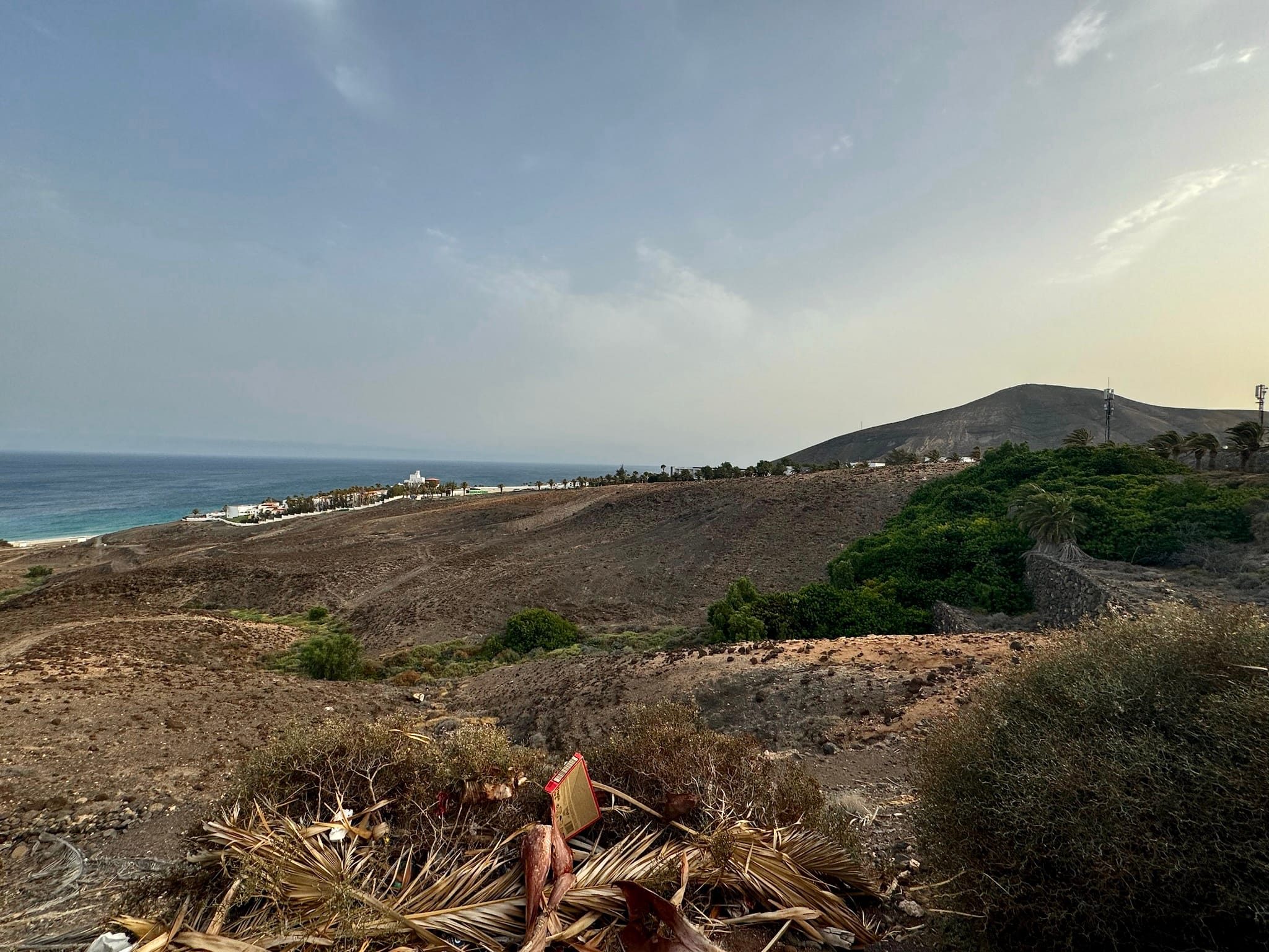 Playa de Jandía and barranco with vegetation, in Fuerteventura, Spain.