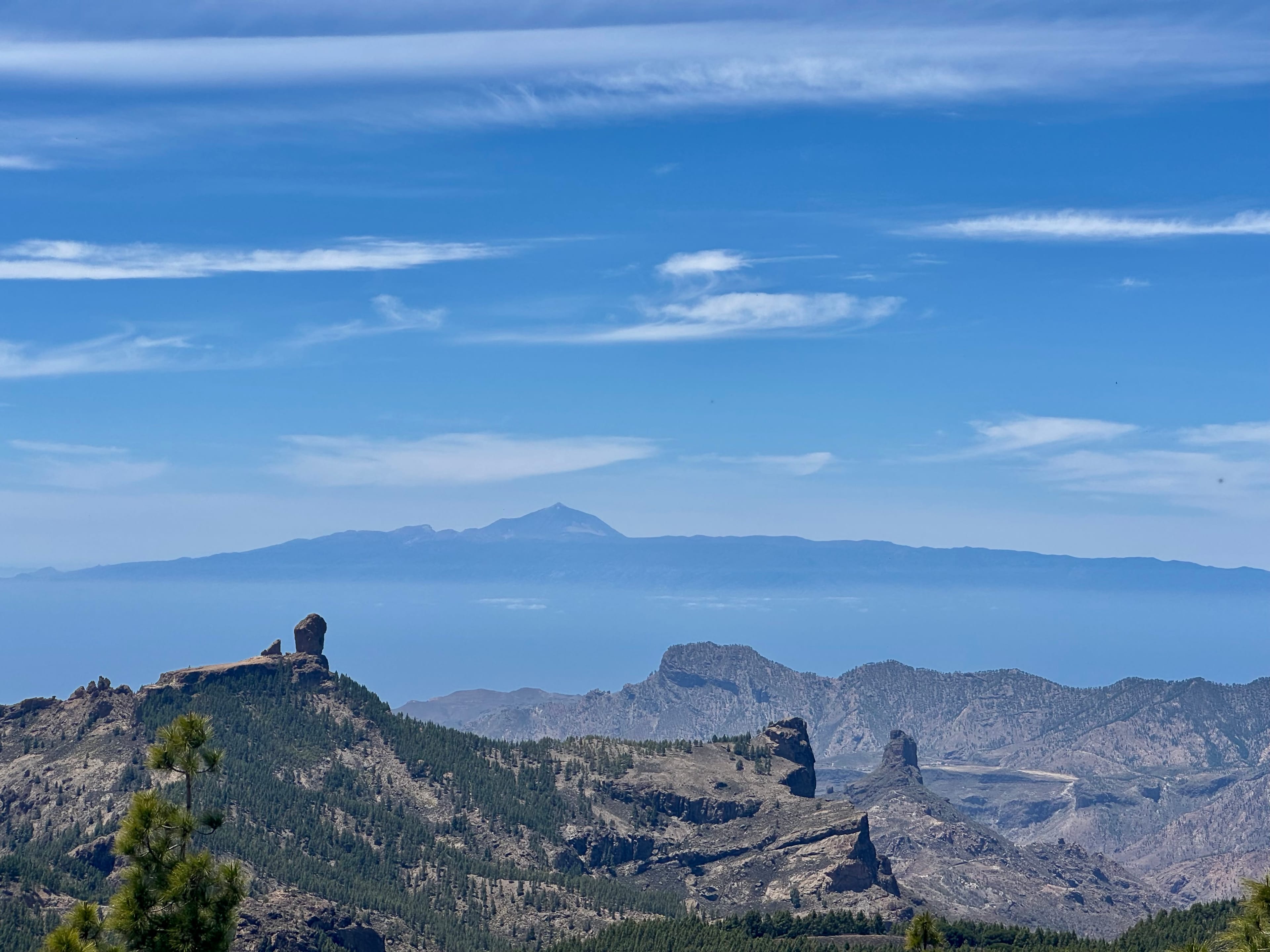 View of the pine grove, the Roque Nublo and the Teide from Pico de las Nieves, in Gran Canaria, Spain.